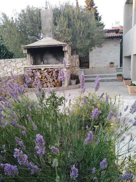 Morovi Dvori Apartment Drage